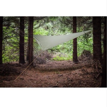 Tarp Moon Зеленый билет на Луну