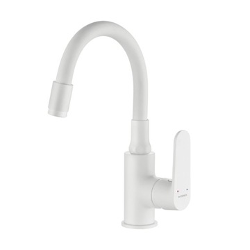 DIMA BATERIA UMYWALKOWA STOJĄCA Z ELASTYCZNĄ WYLEWKĄ BIAŁA