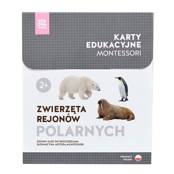 Karty Montessori ZWIERZĘTA REJONÓW POLARNYCH +memo