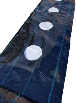 Agrotkanina duże OTWORY pod TUJE co 60cm 1,1x10m pod MALINY BORÓWKĘ KWIATY