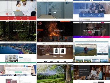 ВЕБ-САЙТ WWW | 10 ПОДСТРАНИЦ | ОТВЕТСТВЕННЫЙ | ХОСТИНГ SSL SEO ДОМЕН