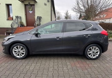 Kia Ceed II Hatchback 5d Facelifting 1.6 GDI 135KM 2015 Kia Ceed LIFT 1,6 GDI 135KM Navi Climatronic Led Bezwypadkowy 2015r. SERWIS, zdjęcie 2