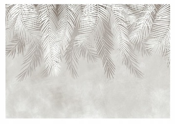 FOTOTAPETA PIÓRA WISZĄCE LIŚCIE PALMY DO SALONU SYPIALNI TAPETA 312x219