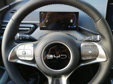 BYD Sealion 7 2025 BYD Dolphin Surf Comfort Hatchback (156 KM) 2025, zdjęcie 7