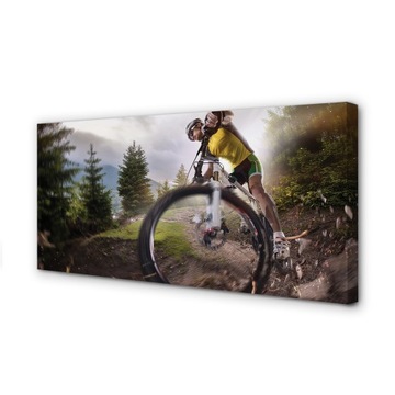 Foto obraz na płótnie Rower góry chmury 100x50 cm