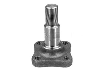 ШТИФТ СТУПИЦЫ DACIA T. LOGAN 04-/SANDERO 08-