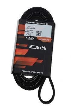 PASEK WIELOROWKOWY CAT SPYCHARKA 2067824 CVA