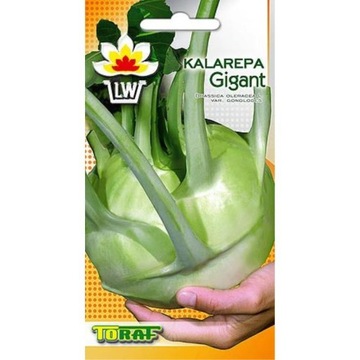 Kalarepa Gigant 2g ROŚNIE DO AŻ 5kg