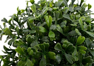 ИСКУССТВЕННЫЙ САМШИТ ВЕТКА ЧЕРНИКИ ПАСХАЛЬНАЯ 18 СМ