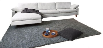 Tani Dywan Shaggy 170x250 Super Jakość Kolory