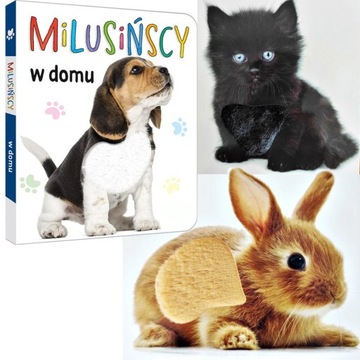 KSIĄŻECZKA KSIĄŻKA MILUSIŃSCY W DOMU ZWIERZĘTA