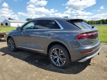Audi Q8 2025 Audi Q8 Premium Plus 2025 3.0l 3.0 Benzyna 335KM, zdjęcie 1