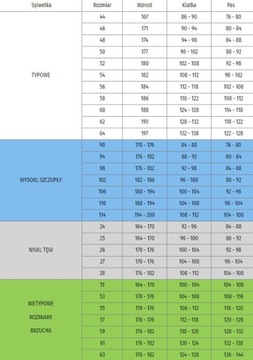 РАБОЧИЕ БРЮКИ классические брюки с усиленным комбинезоном 54