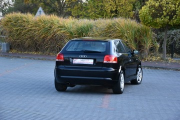 Audi A3 8P Hatchback 3d 1.6 102KM 2008 Audi A3 1.6MPi 102KM Manual 2008r. lift Climatroni, zdjęcie 19