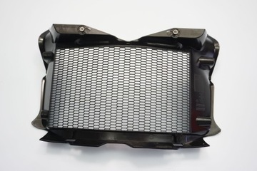 BMW F 850 ​​GS 18- РЕШЕТКА РАДИАТОРА