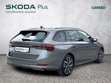 Skoda Octavia IV Liftback 1.5 TSI EVO 150KM 2023 Skoda Octavia 1.5TSI 150KM Sportline DSG |LED Matr, zdjęcie 1