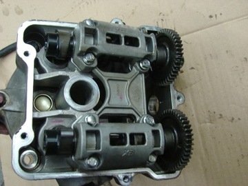 Głowica kompletna Dinli 800 700 masai hytrack centhor