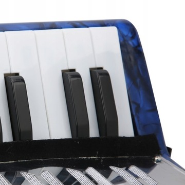 АККОРДЕОН ДЕТСКИЙ МУЗЫКАЛЬНЫЙ ИНСТРУМЕНТ ИРИН 104