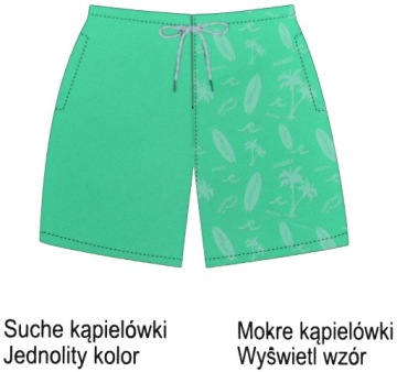 МУЖСКИЕ ПЛАВКИ MAGIC COLOR CHANGING TRUNKS