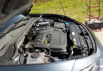 Cupra Leon II Hatchback 1.5 eTSI MHEV 150KM 2023 Cupra Leon Okazja 1.5 Benzyna 150KM, zdjęcie 2