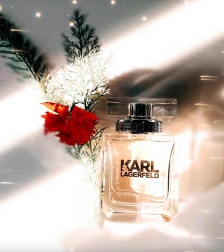 KARL LAGERFELD POUR FEMME EDP БУТЫЛКА 85 МЛ + КРЫШКА