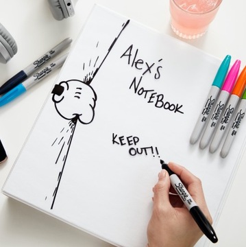 Маркеры Sharpie Fine Markers 12 + 2 _ бесплатно