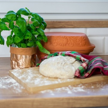 ГЛИНЯНЫЙ РИМСКИЙ ГОРШОК 4Л BROWIN