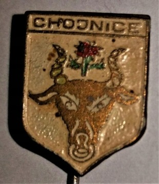 Odznaka - Herb Hojnice