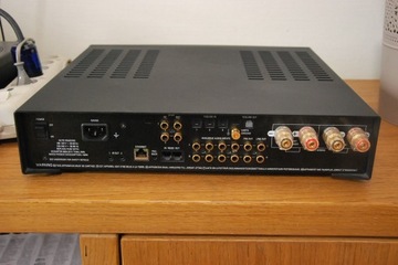 Линн Маджик DS/1 игрок