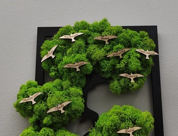 Drzewko szczęścia bonsai mech Dzień Mamy Matki 26 maja podziękowania 40x26