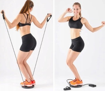 Балансир ROTARY TWISTER STEPPER FITNESS CROSSFIT