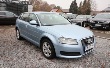 Audi A3 8P Hatchback 3d 1.4 TFSI 125KM 2008 Audi A3 Czujniki parkowania , Klimatyzacja, Al..., zdjęcie 1