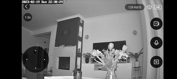 IP-камера RTX AI20+ 5MPx Tuya, двусторонняя аудиозапись, запись на SD до 256 ГБ