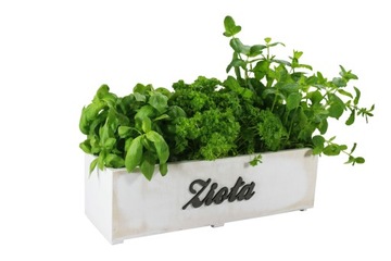 ДЕРЕВЯННАЯ ЯЩИТКА, ЦВЕТОЧНЫЙ ГОРШОК, ТРАВЫ, САД, ИНСТРУКЦИЯ, ЦВЕТЫ