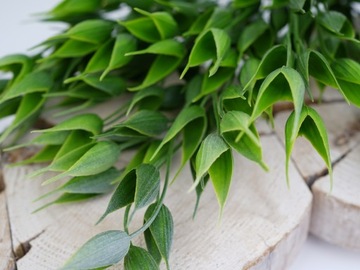 ИСКУССТВЕННЫЕ ЦВЕТЫ РАСТЕНИЯ БУКЕТ ПЛОТНЫЕ КРЕМОВЫЕ ЛИСТЬЯ