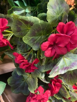 Цветочная гирлянда Герань Искусственные висячие цветы Плющ Сурфиния