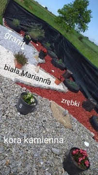 КАМЕННАЯ КОРА ГНЕЙС BIOVITA STONE 31-63 мм 20 кг