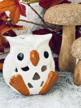 ОСЕННЯЯ ПОДСВЕЧА для ОСЕННЕЙ совы OWL TEAMER