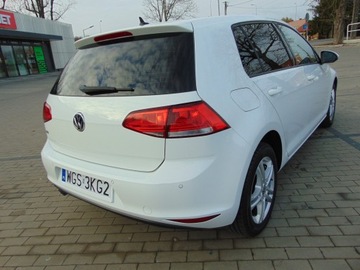 Volkswagen Golf VII Hatchback 3d 1.6 TDI BlueMotion 110KM 2015 VW GOLF 7 1.6 TDI 110 PS NAVI ALU TEMPOMAT KLIMATRONIC GRZANE FOTELE, zdjęcie 18