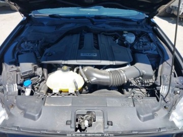 Ford Mustang VI Mach 1 5.0 Ti-VCT 460KM 2021 Ford Mustang 2021r, GT, Fastback, 5.0L 5.0 Benzyna 460KM, zdjęcie 13