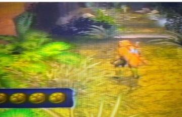 TMNT TEENAGE MUTANT NINJA TURTLES PS2 CZYTAJ OPIS !!!