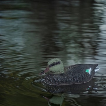 TG71079 ПЛАСТИКОВАЯ УТКА НА УЛИЦЕ ПЛАВАЮЩИЙ РЕАЛИСТИЧЕСКИЙ ОРНАМЕНТ