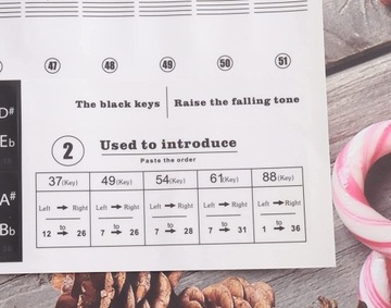 3 SZTUK NAKLEJKI NA KLUCZE FORTEPIANA PRZEWODNIK PO KLAWIATURACH