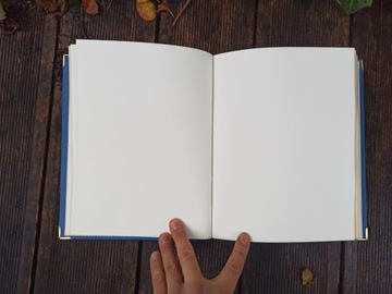 Книга Летописи А4/50 с любой золотой печатью