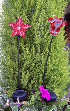 Zestaw LAMPEK ŚWIĄTECZNYCH MIKOŁAJ i GWIAZDA SOLAR