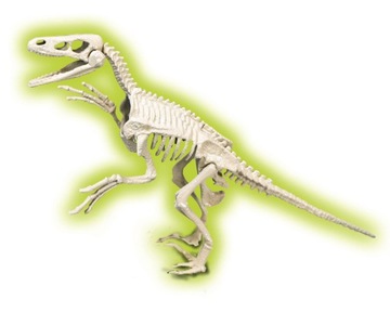 SKAMIENIAŁOŚCI WELOCIRAPTOR FLUO 50639 CLEMENTONI