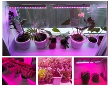 GROW PRO 5630 5:1 Светодиодная лента для роста растений 0,5 м