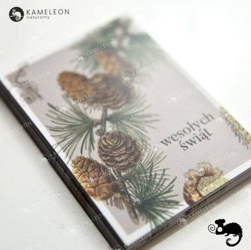 Рождественский ПОДАРОЧНЫЙ БИЛЕТ Рождественская открытка СОСНА И ШИШКИ 7x10 x1