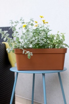 Lobelia 40 Mokka балконный цветочный ящик