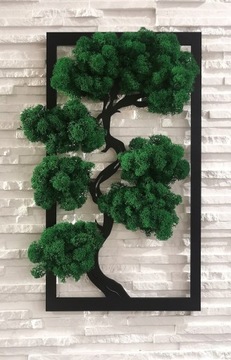 Дерево бонсай со мхом, красивый прямоугольный мох, 40х24.